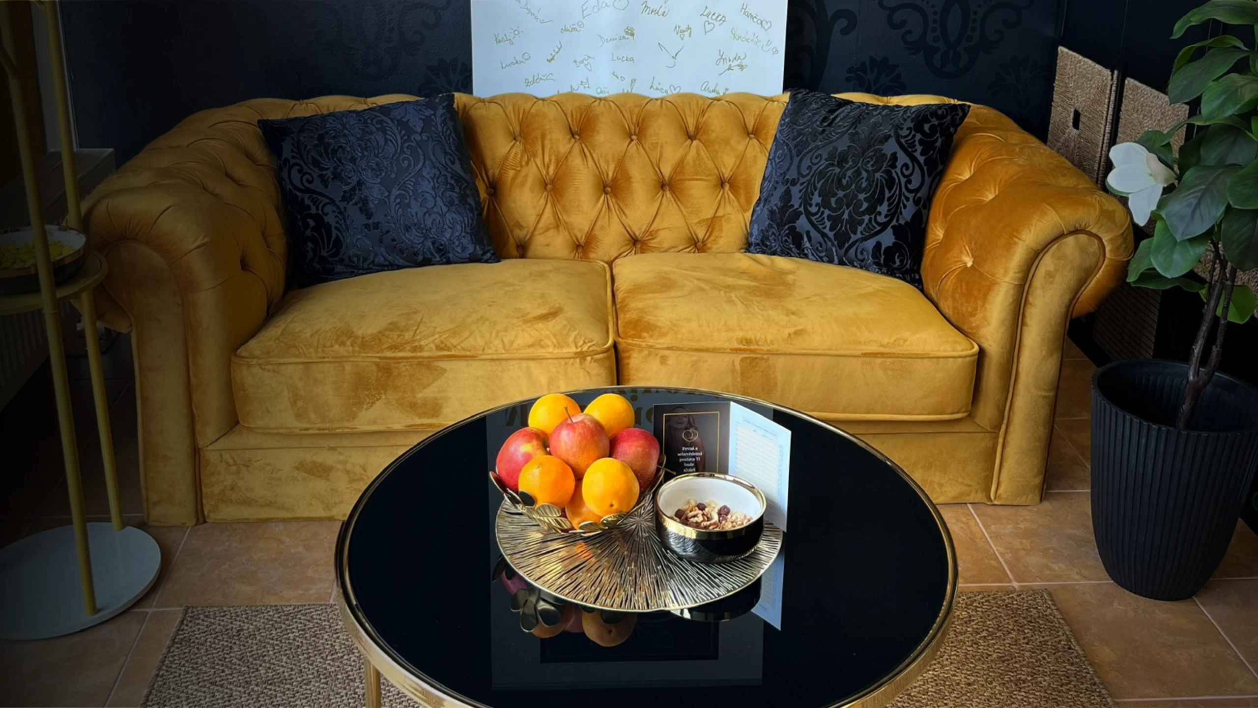 Vstupní konzultace ZDARMA