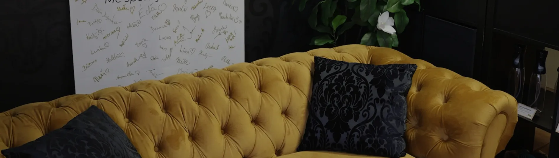 Best place of true splander